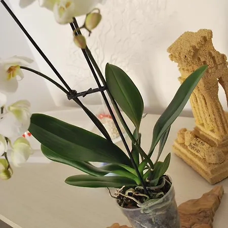 Bed and Breakfast Mare E Templi Αγκριτζέντο