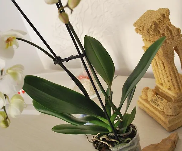 Bed & Breakfast Mare E Templi Agrigento