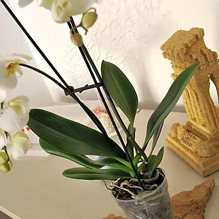 Bed & Breakfast Mare E Templi